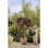Vaso Elho Sereh Round 60 cm 110 L Marrone Mate Resistente UV e Gelo