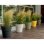 Vaso da giardino Stefanplast Ethica verde oliva riserva acqua 2L Ø40
