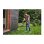 Kantenfraser Ryobi RLT183250F ONE+ 18V Teleskopstange 30cm EasyEdge