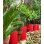 Macetero Riviera Redondo Efecto Granito 40 cm Rojo Doble Pared