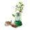 Kit Educativo Hidroponia Clementoni Botanics & Hydroponics Sem Solo (8+)