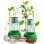 Kit Educativo Hidroponia Clementoni Botanics & Hydroponics Sem Solo (8+)