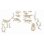 Kit excavación dinosaurios Clementoni Archéo Ludic T-Rex y Triceratops fosforescentes