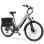 Bicicleta eléctrica Eskute C202 250W 48V 17,5Ah 26" Shimano 7 velocidades - Gris