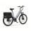 Bicicleta eléctrica Eskute C202 250W 48V 17,5Ah 26" Shimano 7 velocidades - Gris