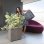 Bac à fleurs Deroma Millennium 80 L 49 cm Marron avec Réserve d'Eau 5 L