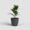 Jardinière Auto-ruisselante Artevasi San Remo SWS 42 MA 43,3 cm Gris Anthracite