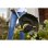Corta-milhas Ryobi ONE+ 18V Hybrid RLT1831H25FPK 25-30 cm