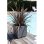 Bac à fleurs carré EDA Graphit 49,5 x 49,5 x 49,5 cm 57 L Gris Antracite