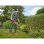 Recortador de relva BLACK+DECKER BESTE628-QS 550W 28cm PowerCommand