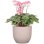 Jardinière ronde Deroma 231 Rosa Blush 7 L Ø24 cm