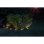Solar-Girlande Galix 5 m 10 weiße LEDs integrierte Pfähle