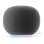 Altoparlanti Google Home Intelligenti Wi-Fi 6 30W con Bluetooth e voce
