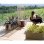 Blumenkasten Stefanplast Ethica 80 cm Chalk Holzeffekt 80 L Recyceltes Kunststoff