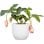 Vaso Deroma 231 Chalk White 7L Ø24 cm Plastica Leggera Testurizzata