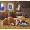 Puzzle Clementoni 25791 para niños de 5 años