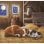 Puzzle Clementoni 25791 para niños de 5 años