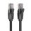 Cabo de Rede RJ45 UTP Vention IBEBY Cat.6 30 cm Preto