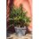 Vaso EDA Toscane 50 cm Grigio Antracite 87 L Opaco Anti-UV