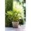 Vaso da fiori quadrato EDA Toscane 50 cm taupe opaco 87 L resistente gel anti-UV
