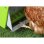 Comedero Automático Kerbl Smartcoop Gallinas Adultas 7,5 Kg Plástico Resistente