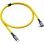 Cavo USB4 Cobra Angolare 0,5 m 240W