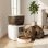 Pawhut Comedero Automático 4l Wifi 2.4g Control App Cuencos 1-10 Comidas Al Día