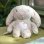Peluche Coniglio Musicale Ingenuity Sylvie Riconoscimento Pianto Luce 5 Colori