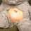 Peluche Coniglio Musicale Ingenuity Sylvie Riconoscimento Pianto Luce 5 Colori