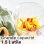 Batidor de table Bosch Vitapower MMB614GO 1200W Jarre Tritan 2L