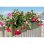 Blumenkasten Stefanplast Ethica 50 cm 9 L Anthrazit Geländerhalterung Wassertank
