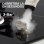 Limpiador a vapor Welltin Steamo X Blanco 3 Bar 135°C 250 ml