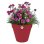 Elho Loft Urban Maceta Ronda Roja Ø 28,5 x 26 cm Plástico Reciclado