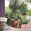 Jardinière Ronde Deroma Origin 22,3 L Terracota Recyclée