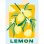 Kit de pintura por números Ravensburger Creart Lemon 18 x 24 cm para adultos