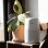 Purificateur d'air compact Levoit Core Mini HEPA VortexAir 360°