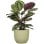 Vaso Rotondo Deroma 231 Verde Chiaro 10L Ø27cm