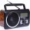 Radio Portatile Dartel RD-20 FM USB SD MP3 Batteria Ricaricabile