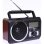Radio portatile Dartel RD-20 FM display blu riproduzione MP3