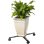 Porte-plante à roulettes Nature ajustable, métal noir, 4 bras extensibles, 34-51 cm, 100 kg