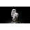 Ratón Corsair SABRE v2 PRO Wireless Bluetooth 33000 DPI Blanc 6 Boutons