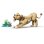 LEGO Creator 3-en-1 Animales Salvajes León Majestuoso 31386 839 piezas