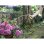 Mangera da giardino Kärcher Performance Plus 50 m 13 mm 25 bar