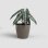 Jardinière Artevasi San Remo 42 cm avec Arrosage Autonome SWS Taupe