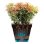 Vaso Elho Loft Urban 25 Plastica Riciclata Serbatoio Acqua