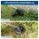 Scheppach BC-BCH380/40-X Set L2 Corta-Minhos e Desbroçadora 2-em-1 40V sem Escovas 3 Velocidades Tap'n'Go