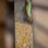 Drahtbürste Scheppach Mrs1300 120 mm 100 mm