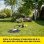 Pompe de surface Kärcher BP 5.000 Garden Set Plus 650W 5000L/h