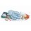 Kit de science Clementoni Triops Science & Play avec mini aquarium et loupe
