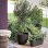Vaso Rotondo Deroma Origin 11 L Antracite 29 x 24 cm